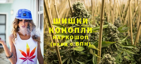 apvp Осинники