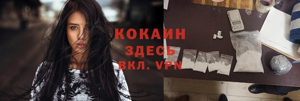 spice Алексин
