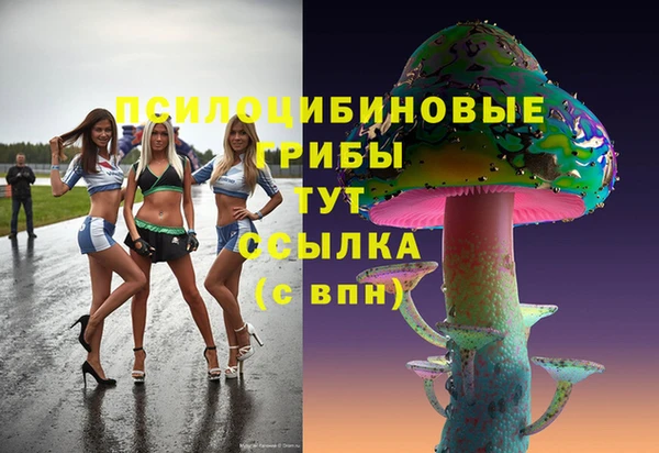 ГАЛЛЮЦИНОГЕННЫЕ ГРИБЫ Алзамай