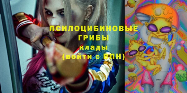 ГАЛЛЮЦИНОГЕННЫЕ ГРИБЫ Алзамай